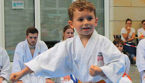 Karate Academy Hamburg
